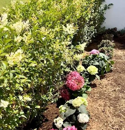 Novo Sancti Petri Semesterbostad *