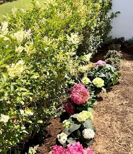 Novo Sancti Petri Hébergement de vacances *